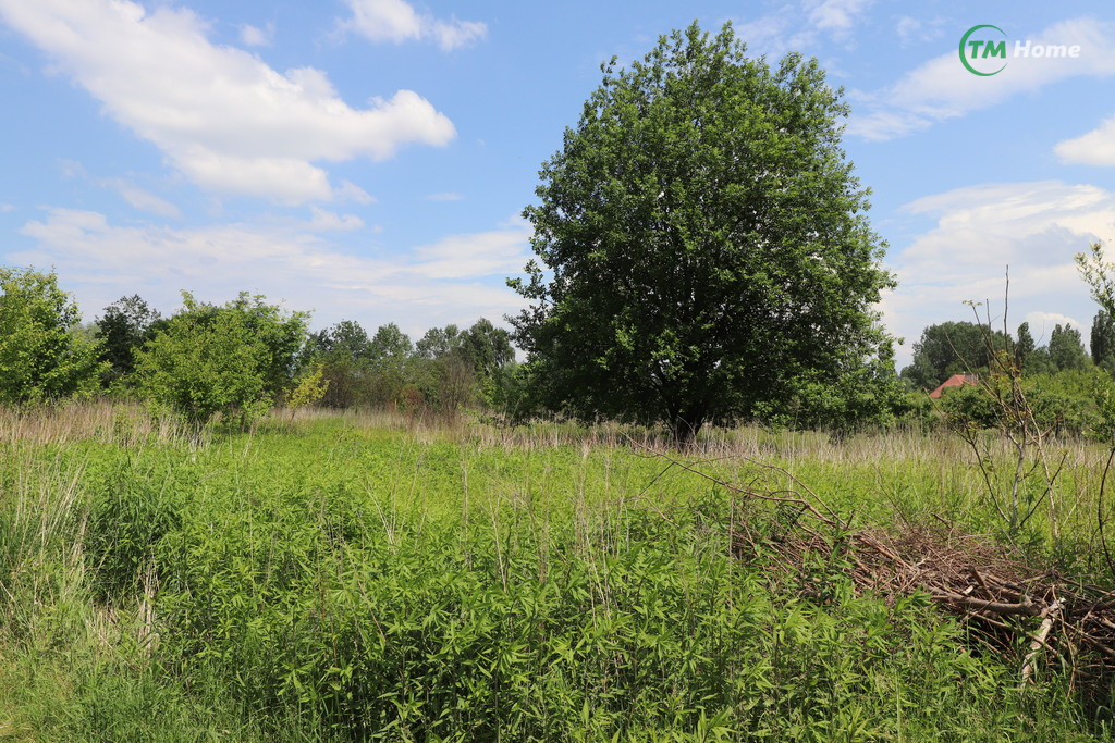 Działka Sprzedaż Radom Czarna