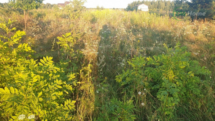 Działka Sprzedaż Złotopolice 4