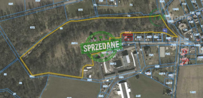 Dom Sprzedaż Szlachcin
