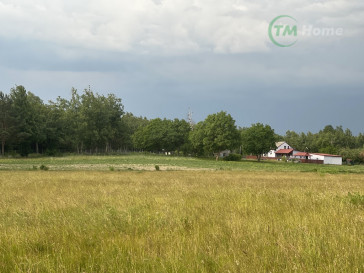 Działka Sprzedaż Załuski