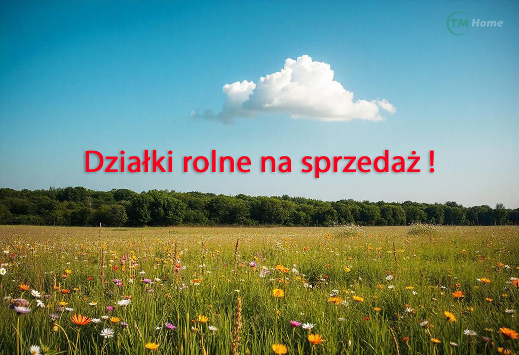 Działka Sprzedaż Szczutkowo