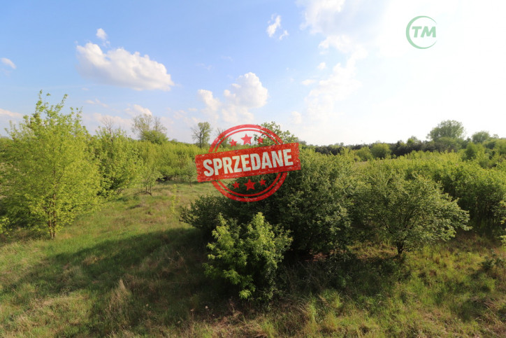 Dom Sprzedaż Żuków 2