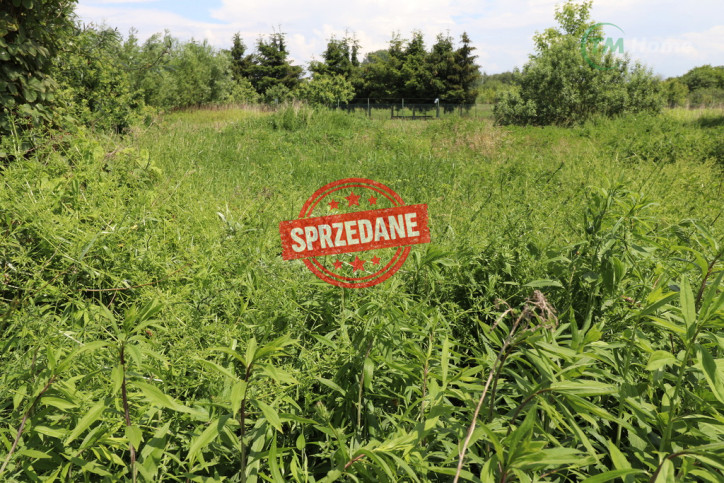 Działka Sprzedaż Gruszki 2