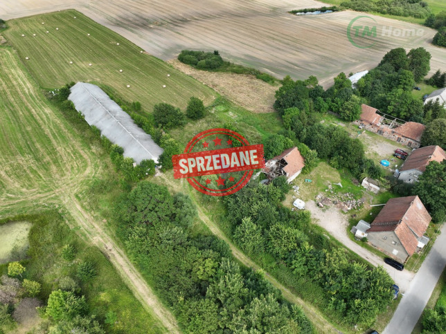 Działka Sprzedaż Plewki 5