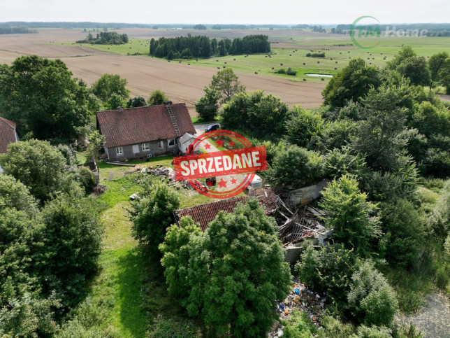 Działka Sprzedaż Plewki 12