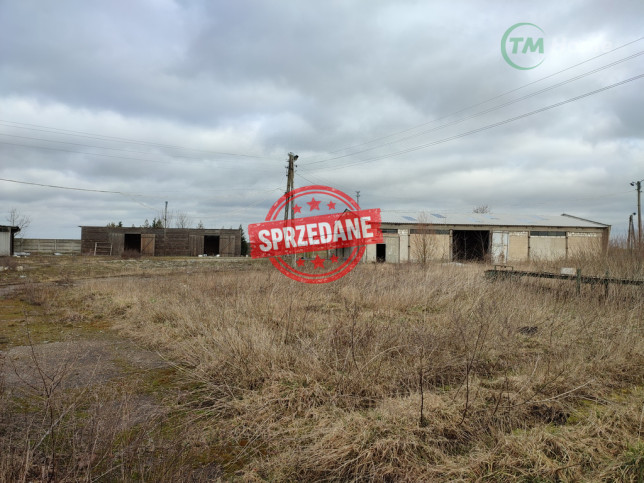 Obiekt Sprzedaż Brody 12